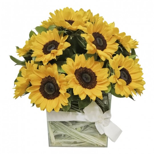 Bello Sunflowers Arrangement