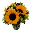 Large arrangement of Sunflowers and Astromelia