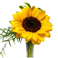 Lovely Basket with Sunflower and Chocolates