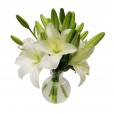 Arrangement of Lilies