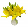Arrangement of Lilies