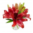 Arrangement of Lilies