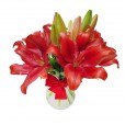 Arrangement of Lilies