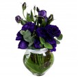 Arranjo com Lisianthus Roxos