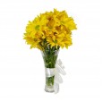 Arrangement of Yellow Daisies Juventude and Lindt Hazelnut