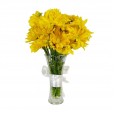 Arrangement of Yellow Daisies Juventude and Lindt Hazelnut