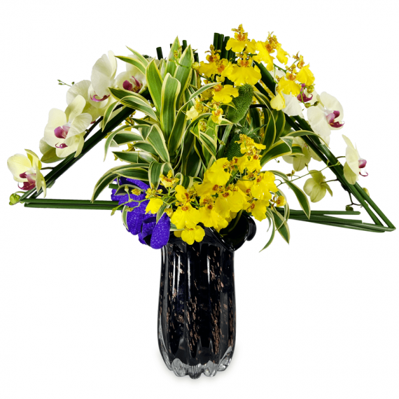 Mix Arrangement of Orchids in a Glass Vase