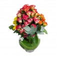 Arrangement with Mini Roses Colorful and Lindt Milk Chocolate Bar
