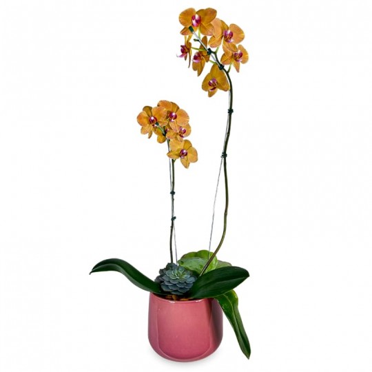 Arrangement of Yellow Orchid Summer Colors I