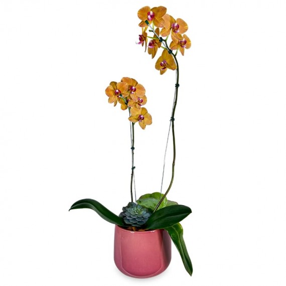 Arrangement of Yellow Orchid Summer Colors I