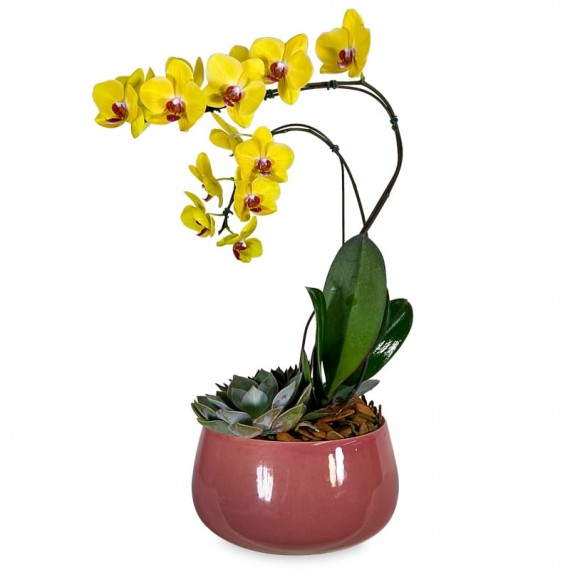 Arrangement of Yellow Orchid Summer Colors II