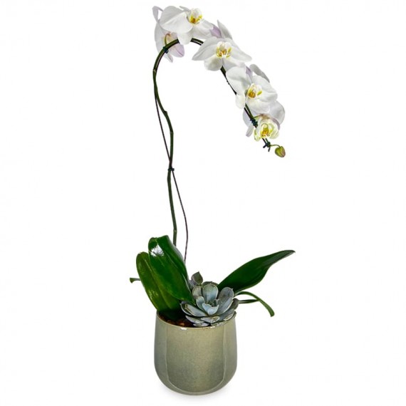 Orquídea Branca Pérola de Porcelana I