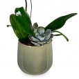 Orquídea Branca Pérola de Porcelana I