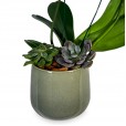 White Orchid Porcelain Pearl II