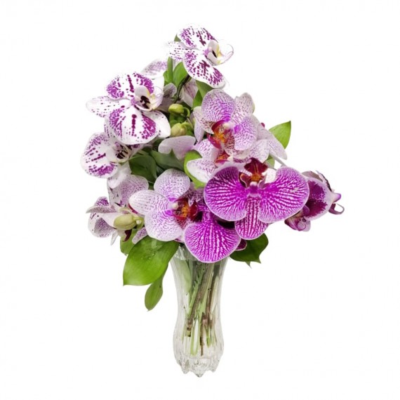 Arrangement of Phalaenopsis Orchids in Special Vase