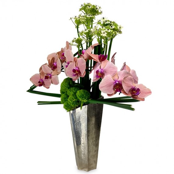 Arrangement of Orchids in an Aluminum vase