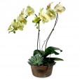 Arrangement with Yellow Orchids in Rust Color Vase