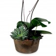 Arrangement with Yellow Orchids in Rust Color Vase