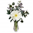 Arrangement Pure Delicacy