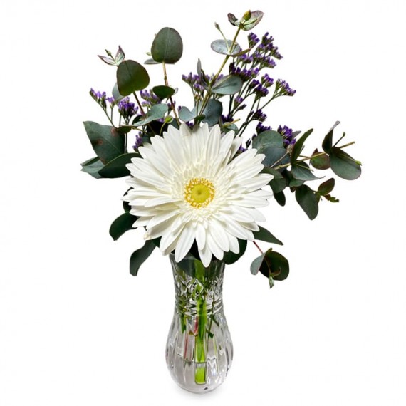 Arrangement Pure Delicacy