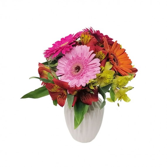 Arrangement of astromeliads and gerberas in ceramic vase