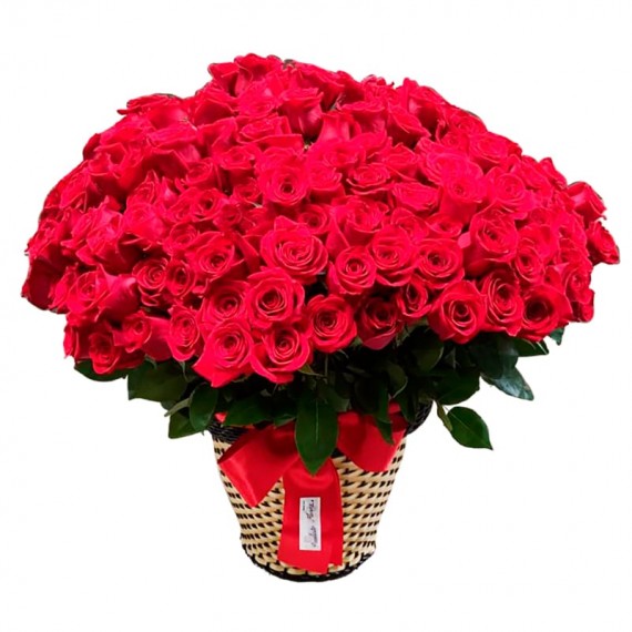 Arrangement with 200 Imported Roses in a Synthetic Ratan Vase