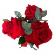 Seduction Trio Arrangement