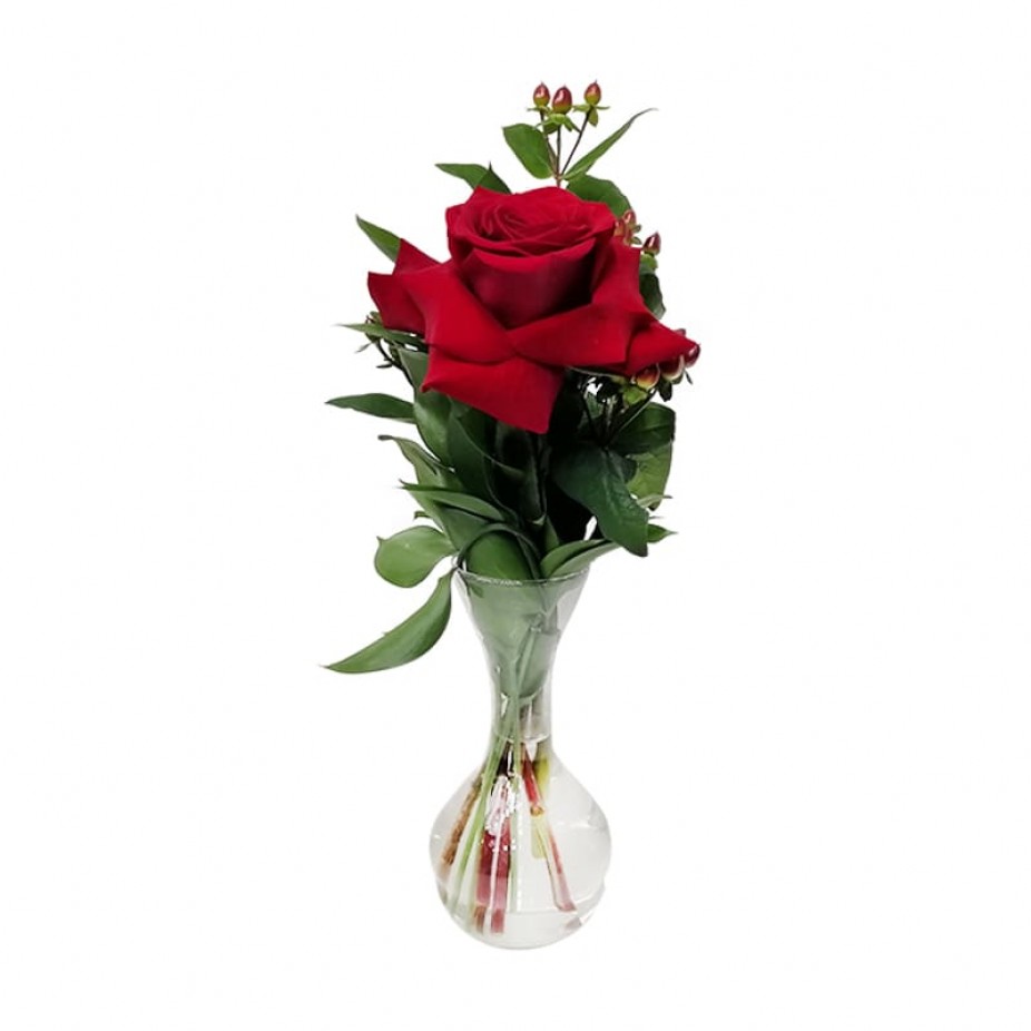 Arrangement with 1 Real Colombian Rose with glass vase