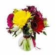 Gerberas and astromeliads arrangement in glass vase
