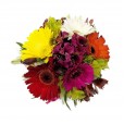 Gerberas and astromeliads arrangement in glass vase