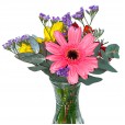 Gerbera Trio Arrangement