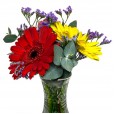 Gerbera Trio Arrangement