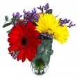 Gerbera Trio Arrangement