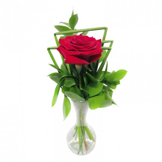 Arrangement with 1 Colombian Rose Magnifique