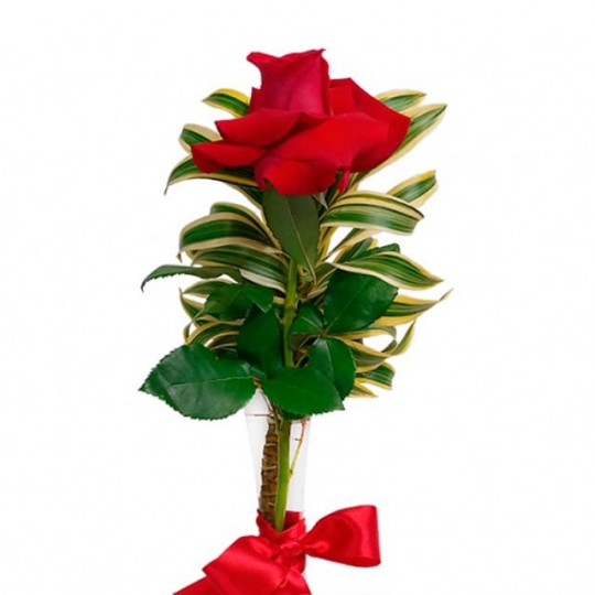 Arrangement with a Passion Colombian Rose