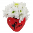 Red Heart Arrangement with White Daisies and Lindt Swiss Classic