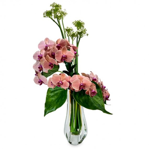 Murano Glass Vase - courtesy Phalaenopsis Orchid