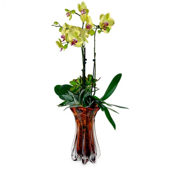 Orquídea amarela em Vaso de Vidro Murano III