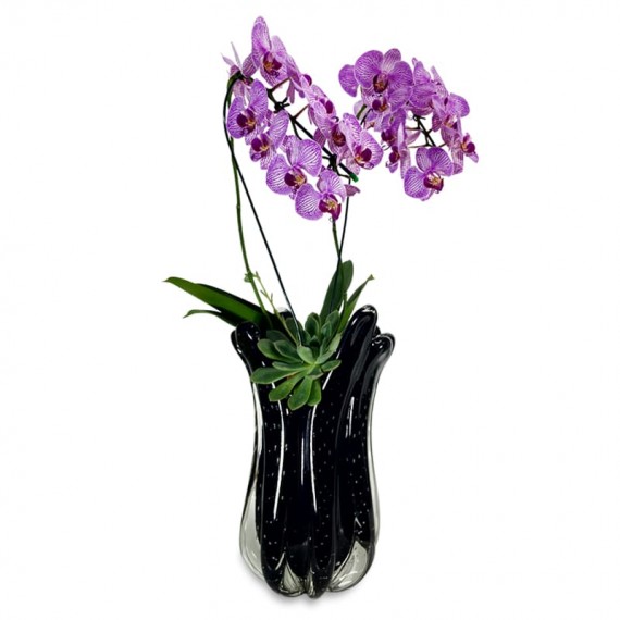 Large Murano Glass Vase - Courtesy Medium Orchid