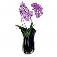 Large Murano Glass Vase - Courtesy Medium Orchid