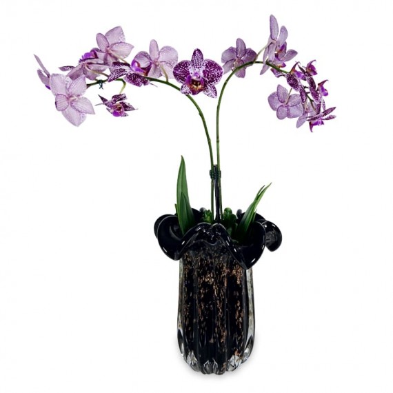 Medium Orchid in Glass Vase II