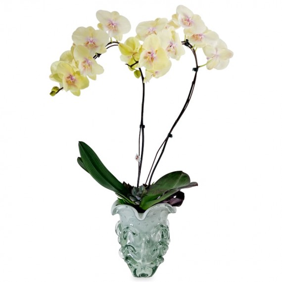 Murano Glass Vase - Courtesy Orchid