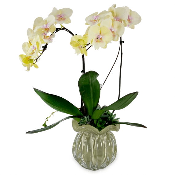 Murano Glass Vase - Courtesy Yellow Orchid