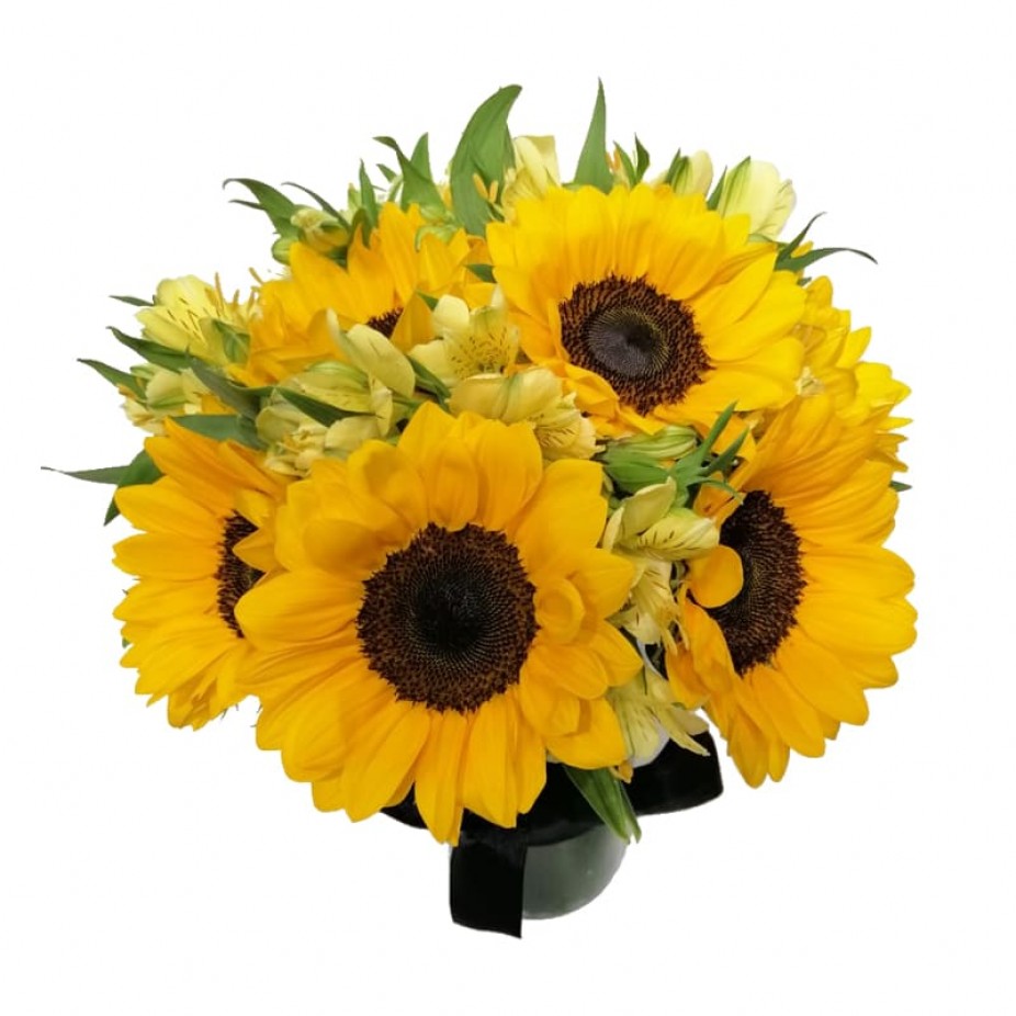 Sunflower Vase and Yellow Astromelia