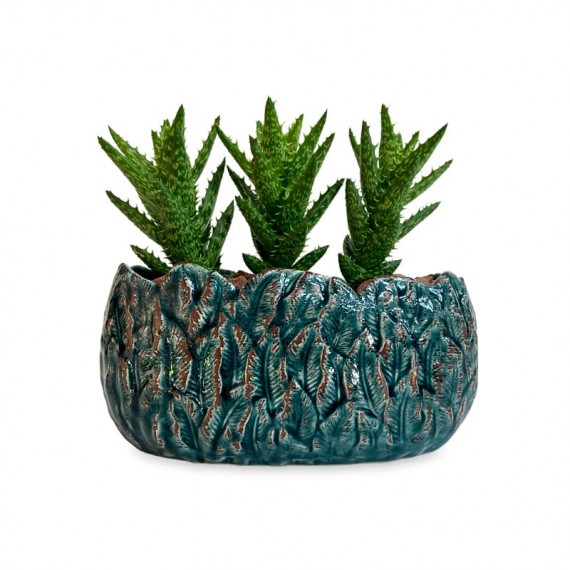 Vase with Trio of Cactus