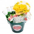 Bucket Stella Artois with Arrangement of Roses and Hydrangeas