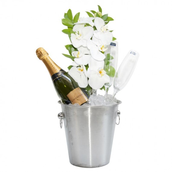 Stainless Bucket with Chandon Champagne, 2 Glasses and White Orchid Arrangement