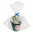 Stella Artois aluminum bucket with Stella Artois beers, 02 cups and arrangement of astromelia and National Roses