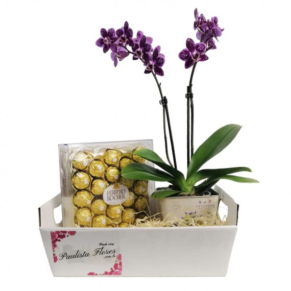 Sweet Orchid Basket I