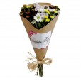 Candor Bouquet with chocolate Biss